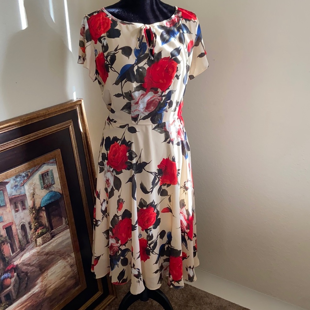 Unique Vintage dress